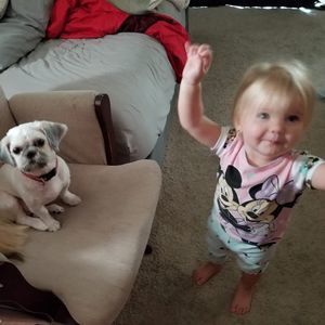 Meet your Posher, Lee